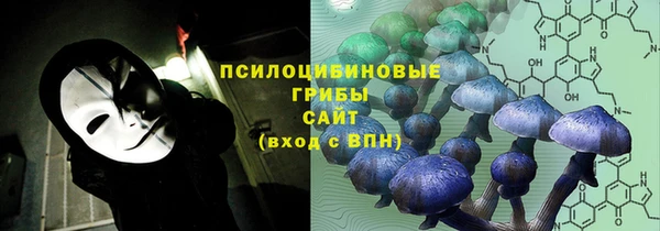 СК Заводоуковск
