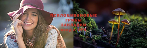СК Заводоуковск