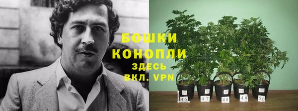 дживик Заволжск
