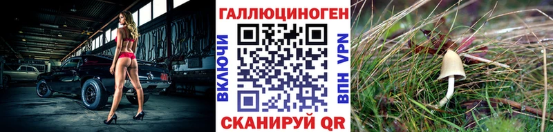 Псилоцибиновые грибы мицелий  Купить где  Приволжск 